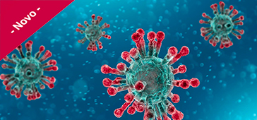 Prevenção e Controle do Coronavírus